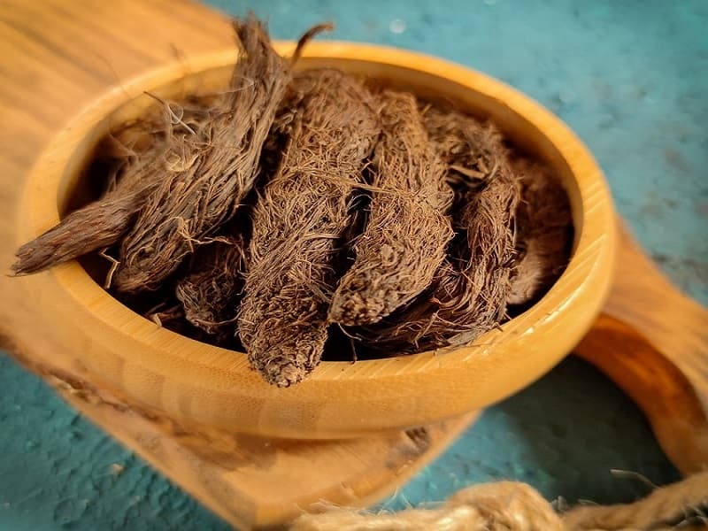 خواص سنبل الطیب مجله مصباح